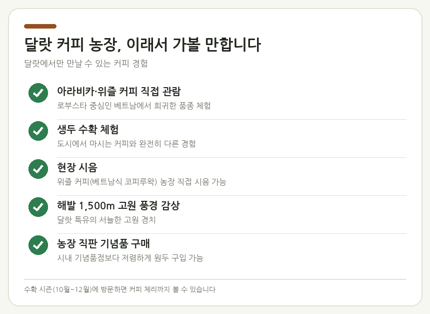 달랏 커피 농장 방문 추천 이유 요약 체크리스트 — 아라비카·위즐 커피 직접 관람, 생두 수확 체험, 현장 시음, 고원 풍경, 기념품 구매 포함