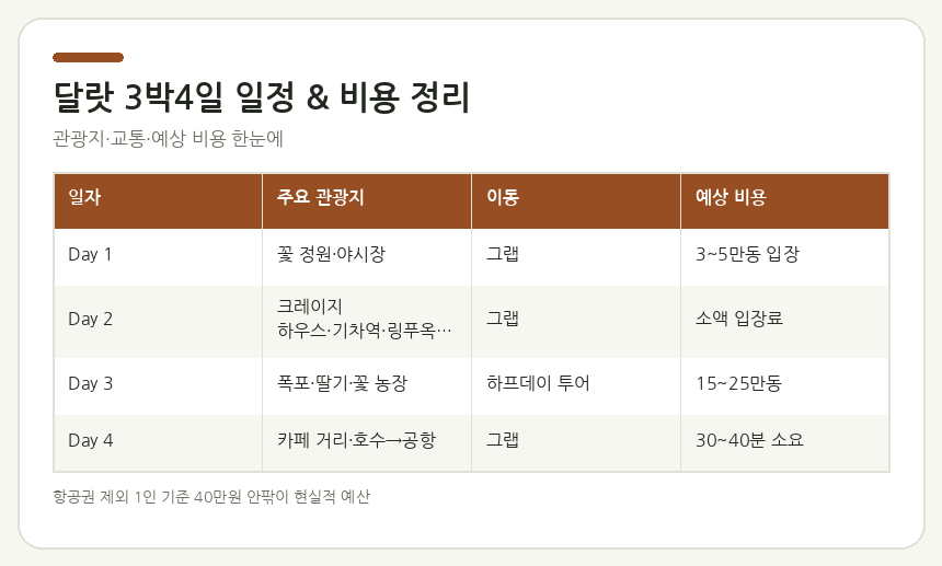 달랏 3박4일 여정 달랏 3박4일 일정표 — Day1~4 관광지·교통·예상 비용 한눈에 보는 정리 카드